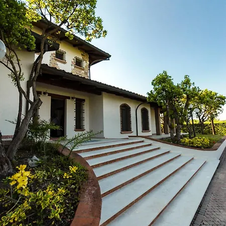 Amnesia Villa *